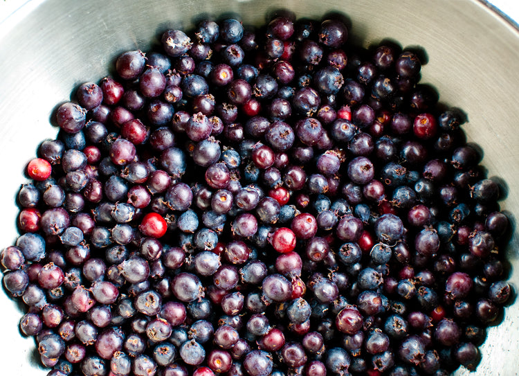 Berries from the Prairies : Saskatoon Pie